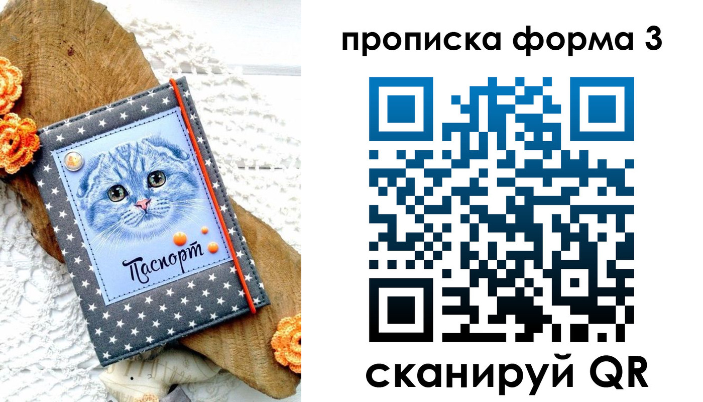 прописка поиск в Высоковске